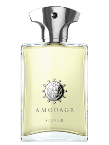عطر ادکلن آمواج سیلور مردانه