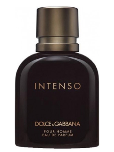 عطر ادکلن دولچه گابانا پورهوم اینتنسو مردانه